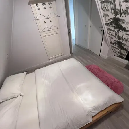 山林小屋 Doinita